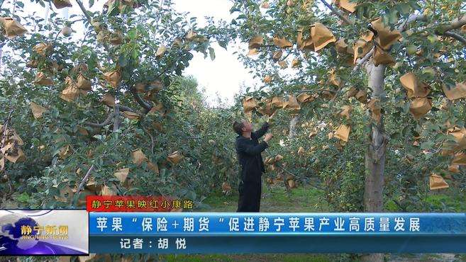 甘肃苹果套装新闻甘肃省苹果产业集群-第1张图片-太平洋在线下载
