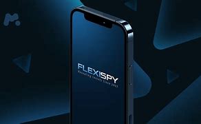 flexispy安卓版4399游戏插件flash下载-第2张图片-太平洋在线下载